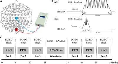 The influence of different current-intensity transcranial alternating current stimulation on the eyes-open and eyes-closed resting-state electroencephalography